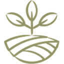 Data & Insights for Decision-Support